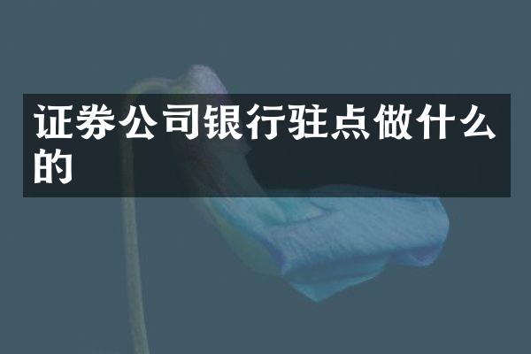 证券公司银行驻点做什么的