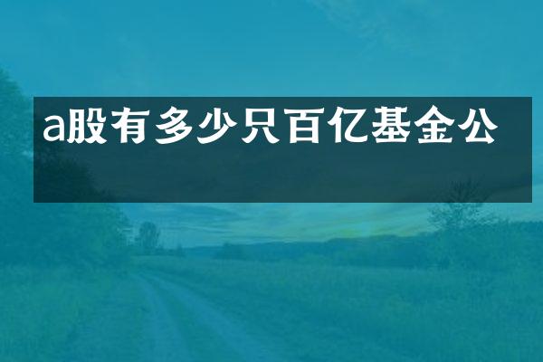 a股有多少只百亿基金公司