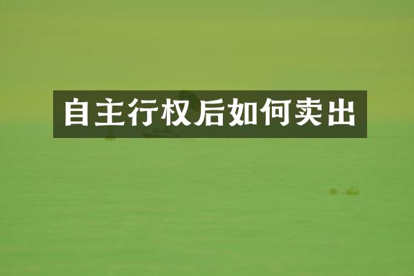 自主行权后如何卖出