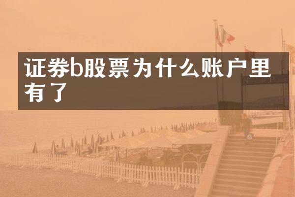 证券b股票为什么账户里没有了