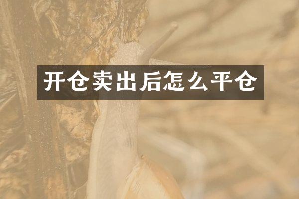 开仓卖出后怎么平仓
