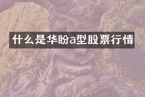 什么是华盼a型股票行情