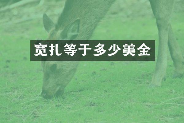 宽扎等于多少美金