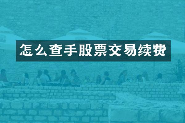 怎么查手股票交易续费