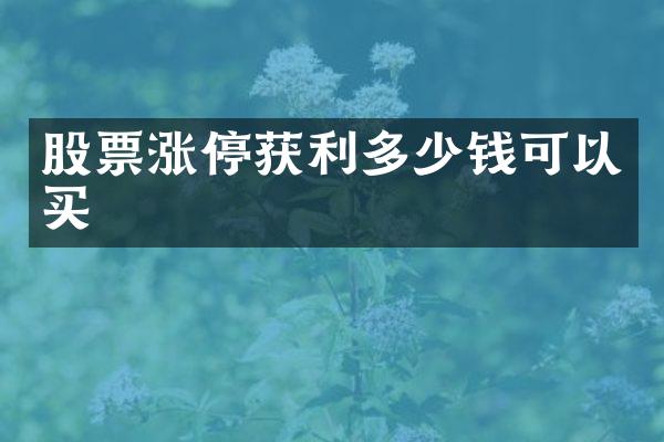股票涨停获利多少钱可以买