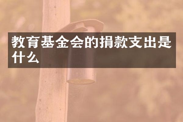 教育基金会的捐款支出是什么
