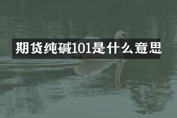 期货纯碱101是什么意思
