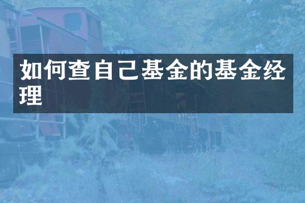 如何查自己基金的基金经理