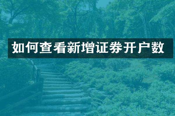如何查看新增证券开户数