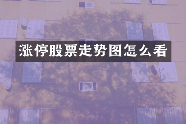 涨停股票走势图怎么看