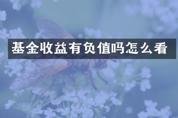基金收益有负值吗怎么看