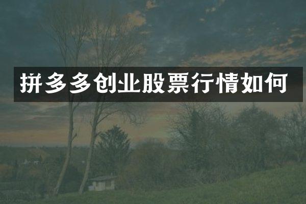 拼多多创业股票行情如何