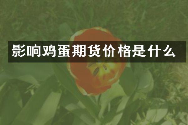影响鸡蛋期货价格是什么