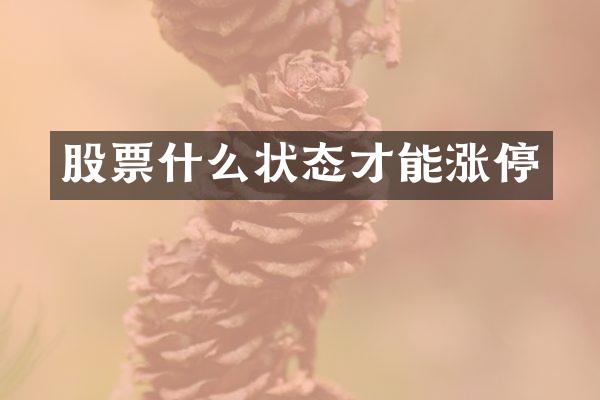 股票什么状态才能涨停
