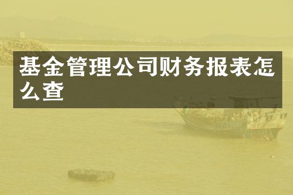基金管理公司财务报表怎么查