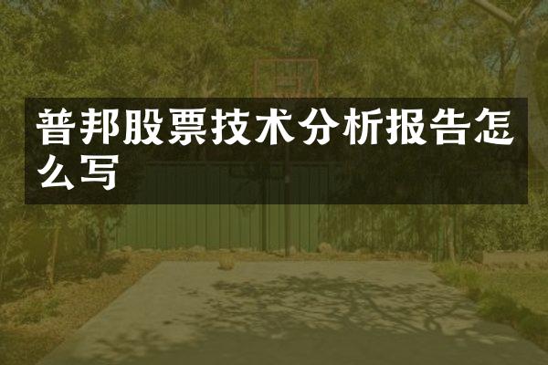 普邦股票技术分析报告怎么写