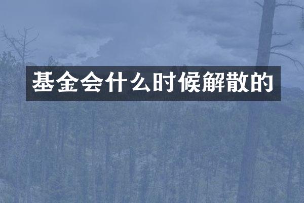 基金会什么时候解散的