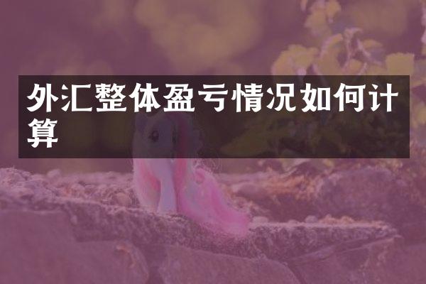 外汇整体盈亏情况如何计算