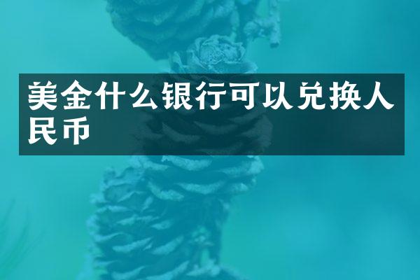 美金什么银行可以兑换人民币