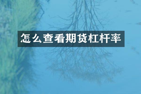 怎么查看期货杠杆率