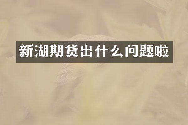 新湖期货出什么问题啦