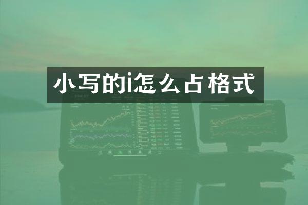 小写的i怎么占格式