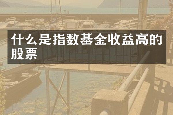 什么是指数基金收益高的股票