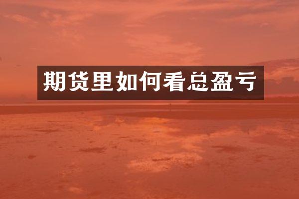 期货里如何看总盈亏