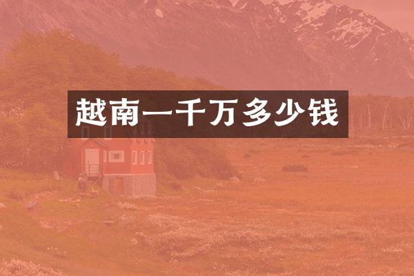 越南一千万多少钱