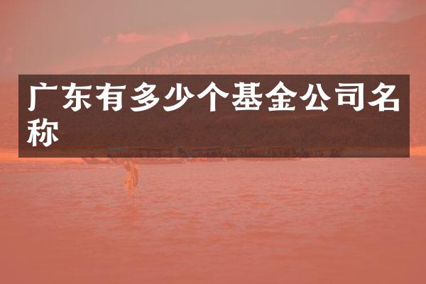 广东有多少个基金公司名称