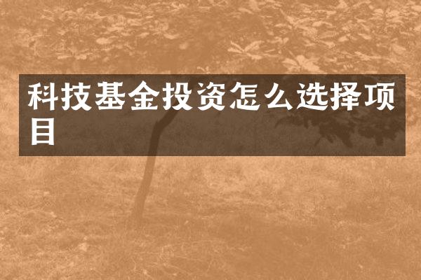 科技基金投资怎么选择项目