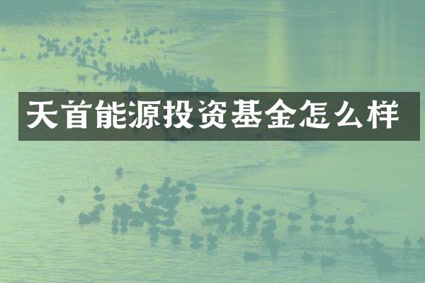 天首能源投资基金怎么样