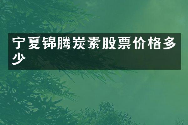 宁夏锦腾炭素股票价格多少