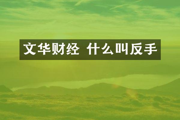 文华财经 什么叫反手