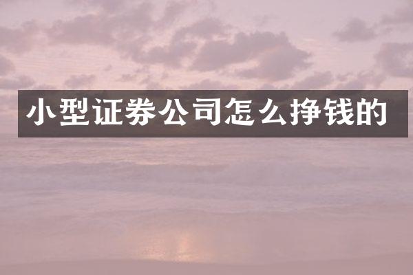 小型证券公司怎么挣钱的