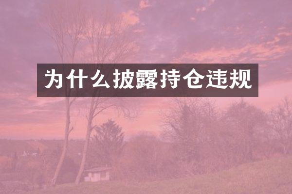 为什么披露持仓违规