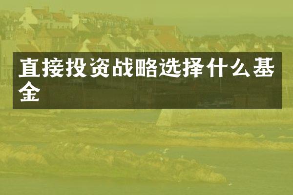 直接投资战略选择什么基金