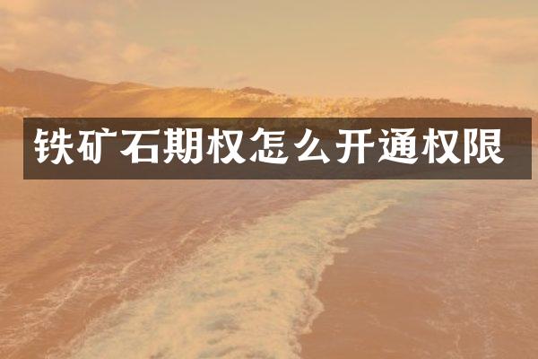 铁矿石期权怎么开通权限