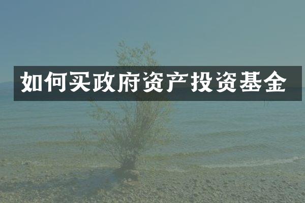 如何买政府资产投资基金