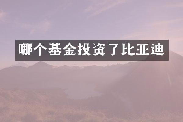 哪个基金投资了比亚迪