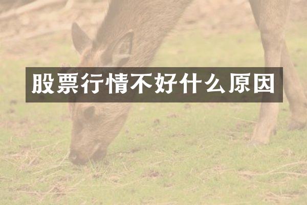 股票行情不好什么原因
