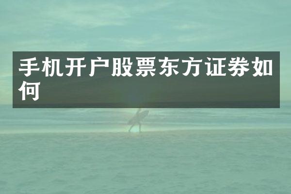 手机开户股票东方证券如何