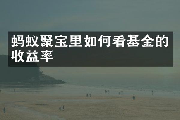 蚂蚁聚宝里如何看基金的收益率