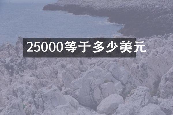 25000等于多少美元