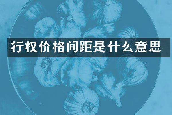 行权价格间距是什么意思