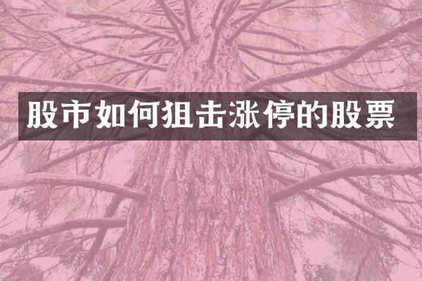 股市如何狙击涨停的股票