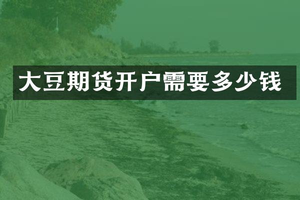 大豆期货开户需要多少钱