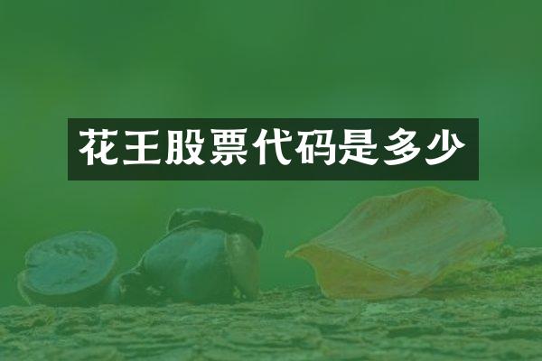 股票代码是多少