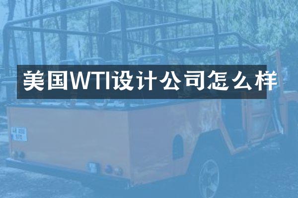 美国WTI设计公司怎么样