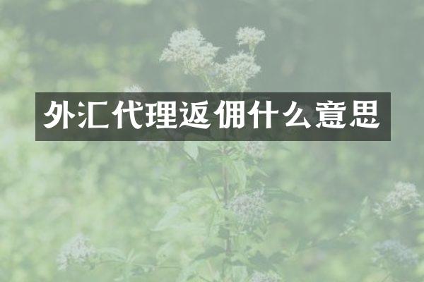 外汇代理返佣什么意思